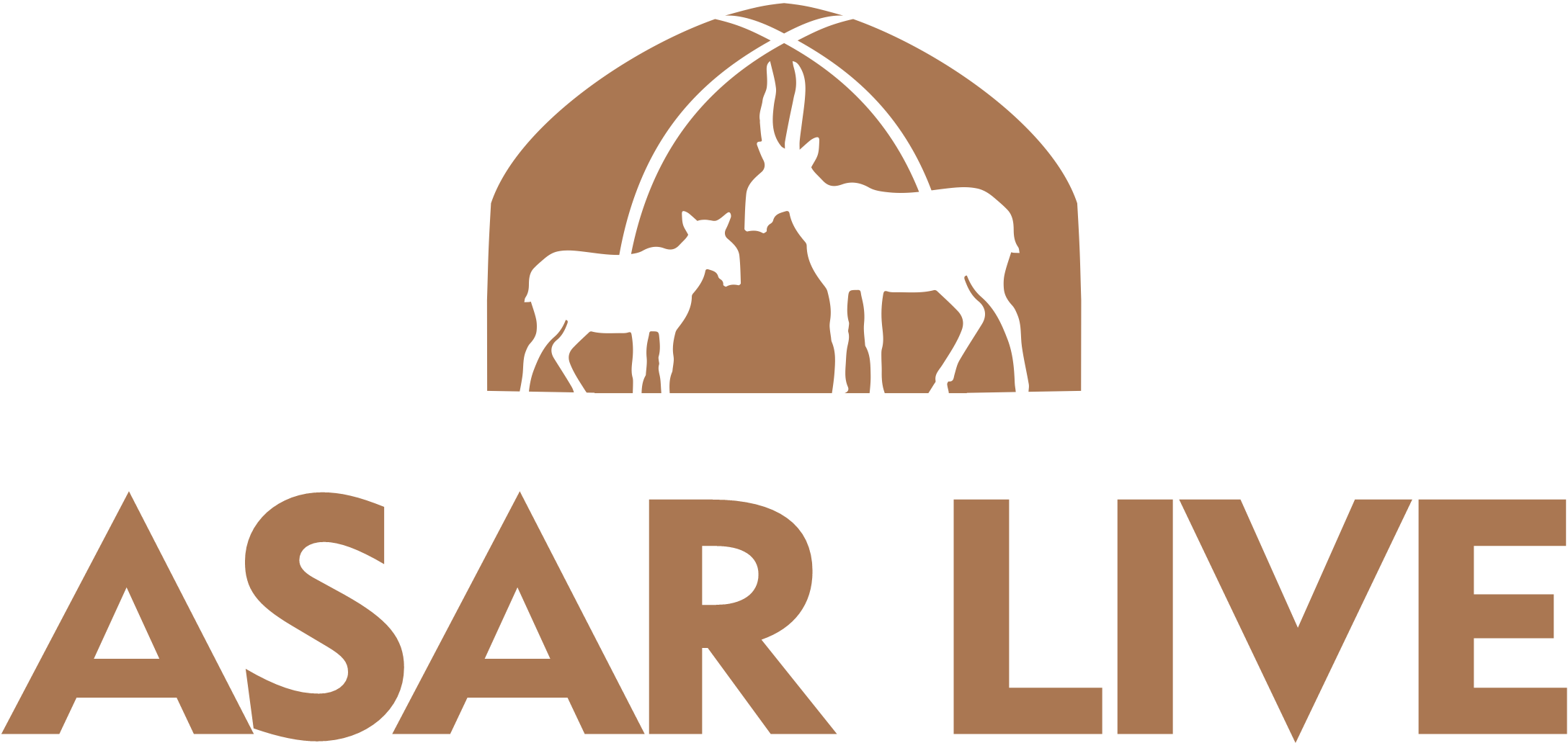 "ASAR Live" ЖШС