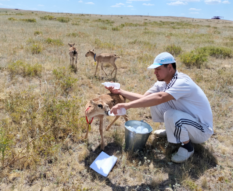 «ASAR Live» тәлімбағы