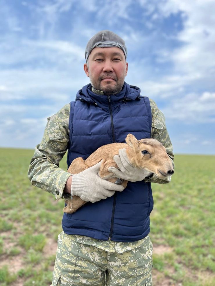 «ASAR Live» тәлімбағы