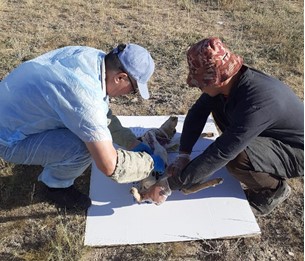 Поездка в питомник фермы дичеразведения «ASAR Live»